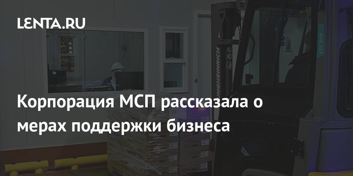 Корпорация МСП рассказала о мерах поддержки бизнеса: Бизнес: Экономика: Lenta.ru