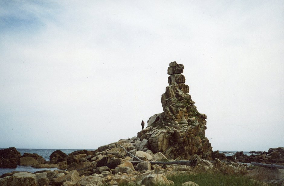 Гигантский сейд на побережье Охотского моря