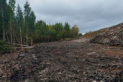 В Ленинградской области сошла «мусорная лавина»