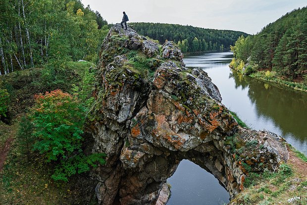 Вводная картинка