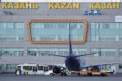 В российском аэропорту самолет сбил насмерть дикое животное во время взлета