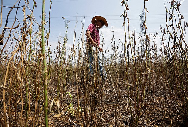 Последствия засухи в Игуасу, Парагвай