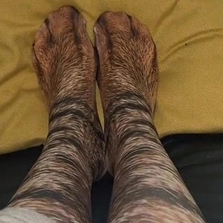 Красивые носки для котов или котят. ТОП 10