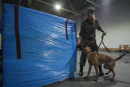 Российские таможенники изъяли 850 килограммов вещества для наркопроизводства