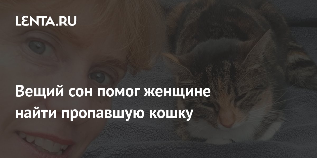 Что ей снится кошка