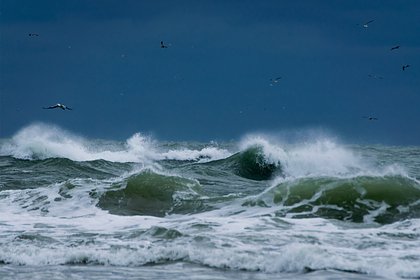 Россиян предупредили о надвигающейся на Черное море опасности Россиян предупредили о надвигающейся на Черное море опасности