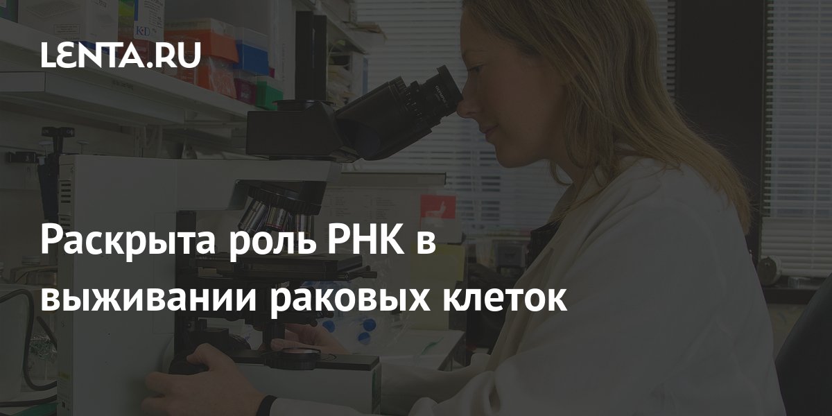 Раскрыта роль РНК в выживании раковых клеток: Наука: Наука и техника ...