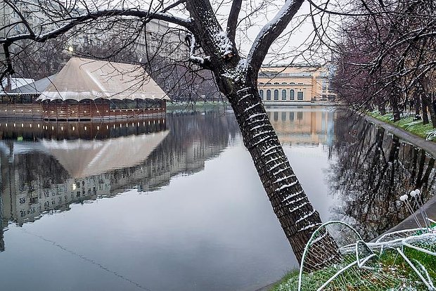 Вводная картинка