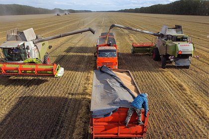 Турция заявила о сожалении в связи с приостановкой участия РФ в зерновой сделке