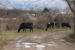 Архивное фото 