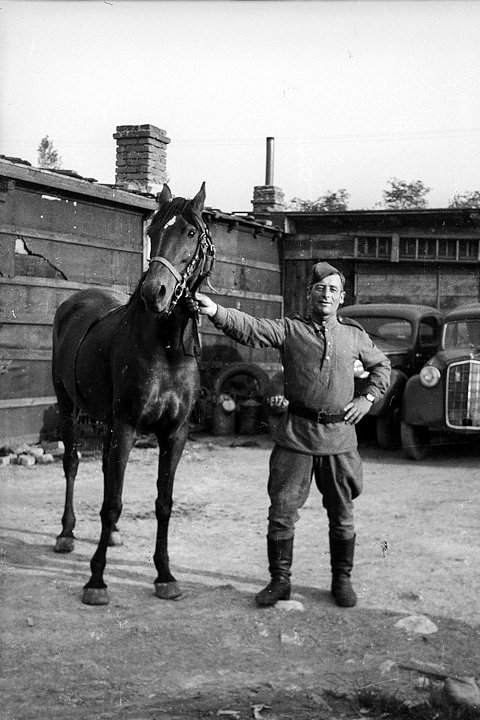 Портрет красноармейца. Чехия, 1945 год. Фото: Пешка / Частная коллекция Артура Бондаря