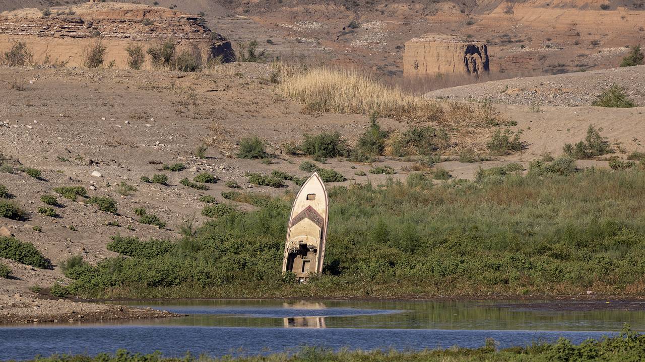 На дне обмелевшего водохранилища шестой раз за год нашли человеческие  останки: Происшествия: Из жизни: Lenta.ru