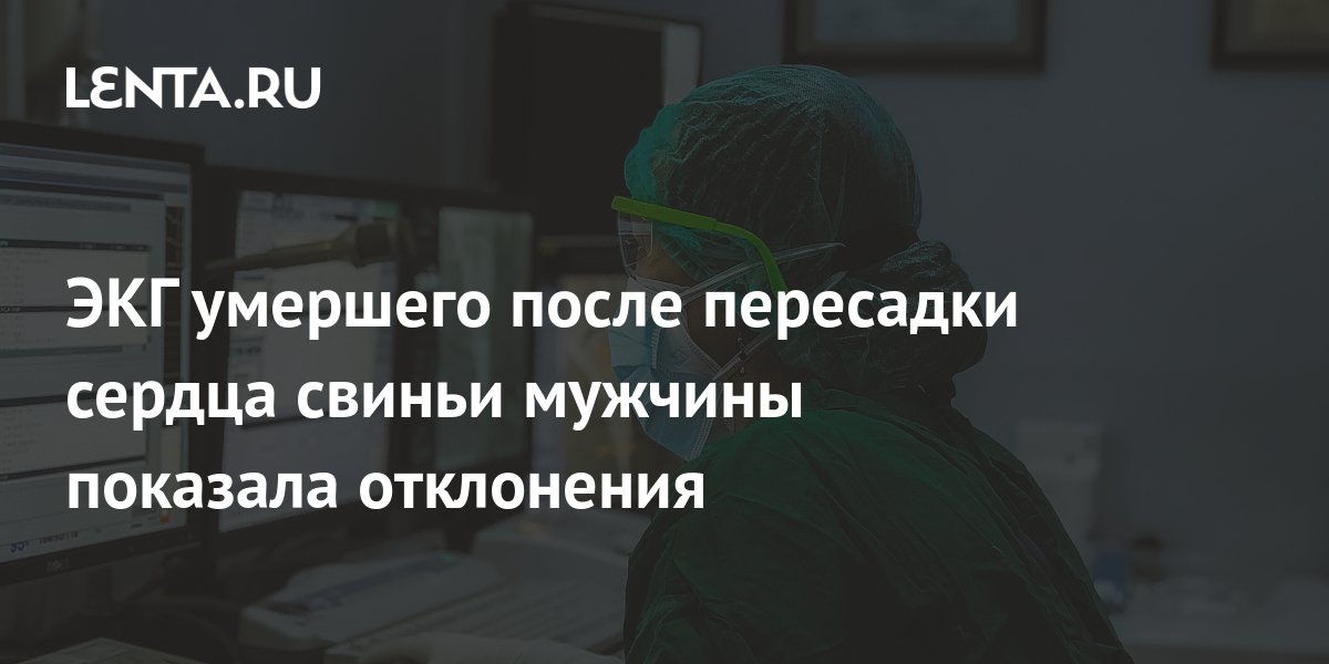 lenta.ru
