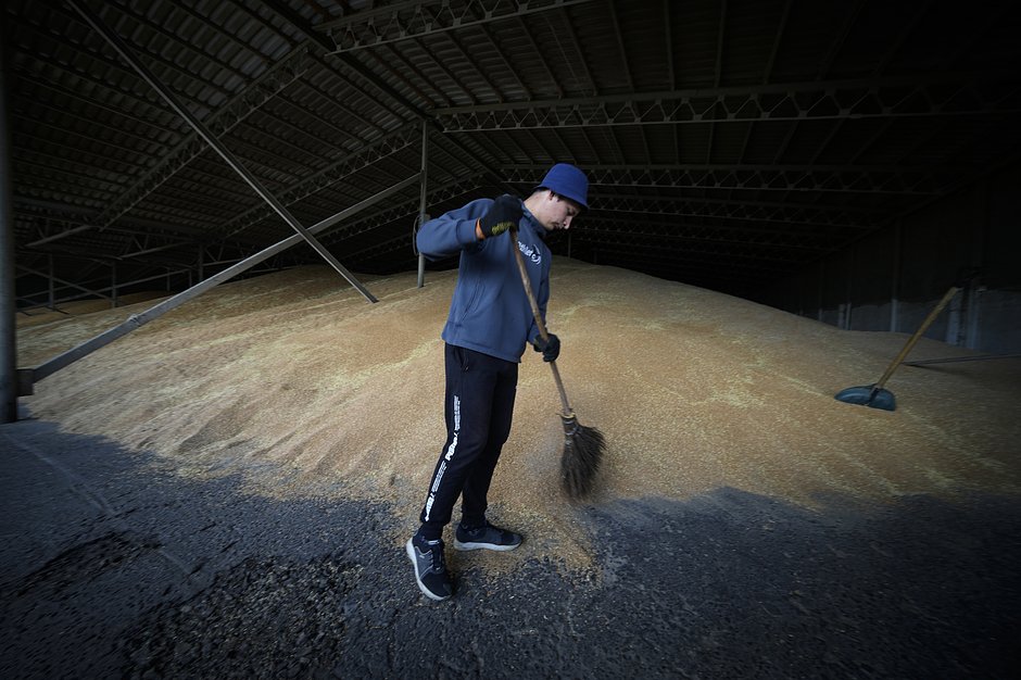 Рабочий сушит зерно на ферме в Старобельском районе в Луганской народной республике (ЛНР), июль 2022 года