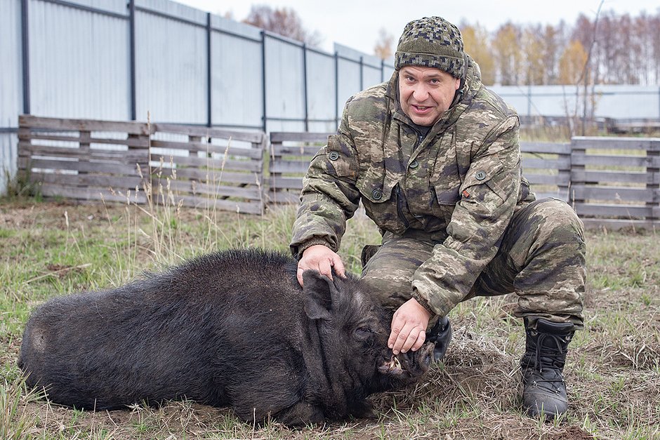 Борис Волгаев со свиньей по кличке Пятачок