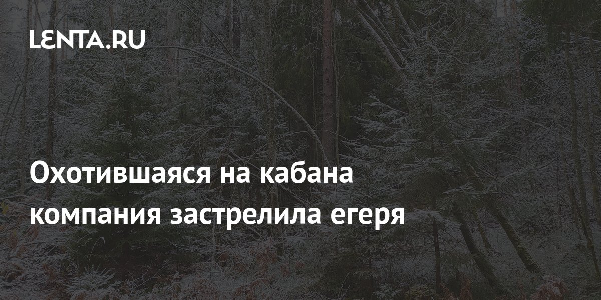 Охотившаяся на кабана компания застрелила егеря: Происшествия: Россия ...