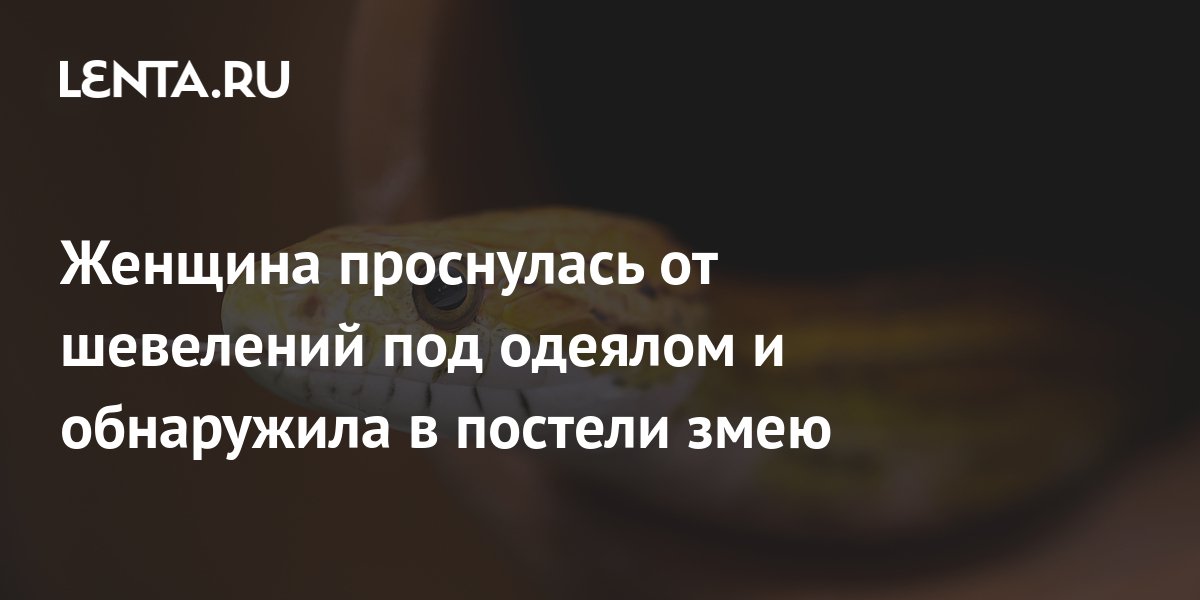 Женщина проснулась от шевелений под одеялом и обнаружила в постели змею ...