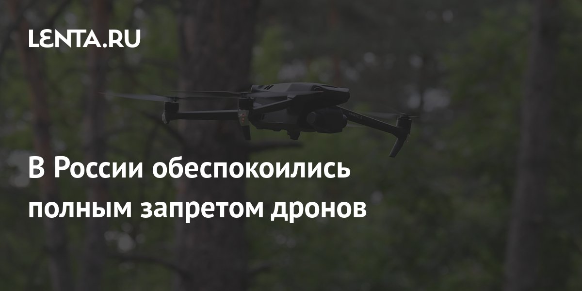 В России обеспокоились полным запретом дронов: Рынки: Экономика: Lenta.ru