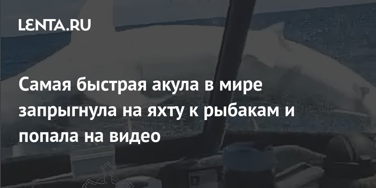 Самая быстрая акула в мире запрыгнула на яхту к рыбакам и попала на ...