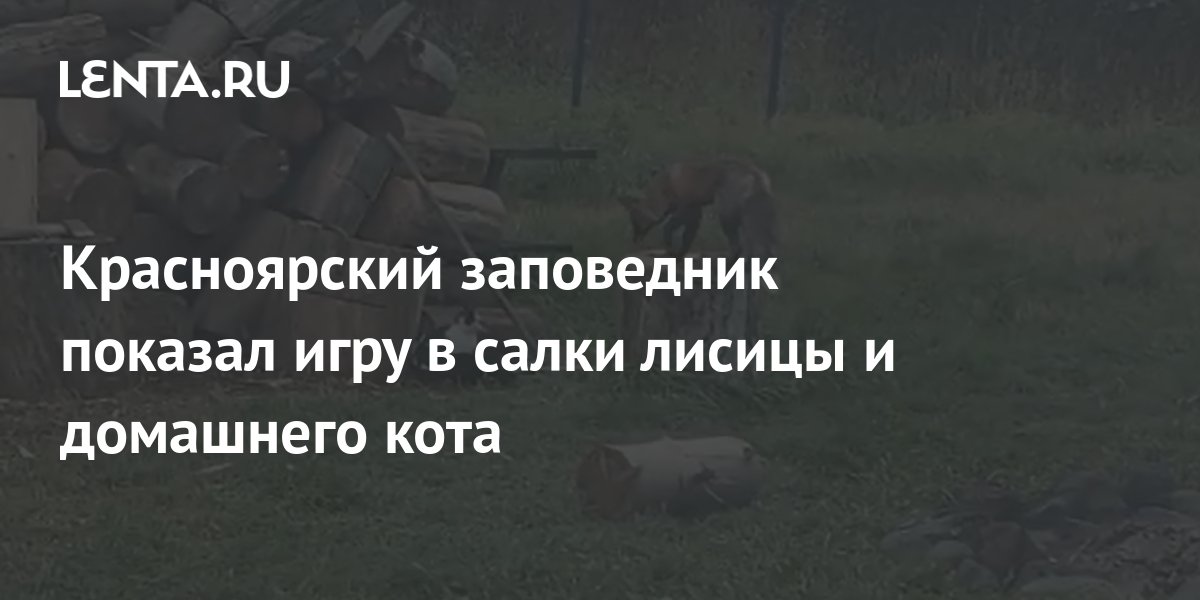 Мы были детьми на заброшенной свалке играли одни то в прятки то в салки