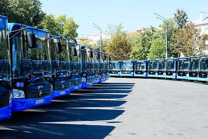 Андрей Воробьев сообщил о выходе на маршруты Подмосковья еще 200 новых автобусов