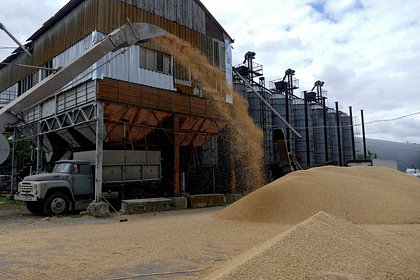 В Госдуме призвали отказаться от зерновой сделки