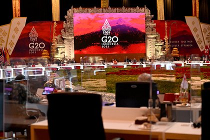 Стало известно о решении Путина не ехать на саммит G20