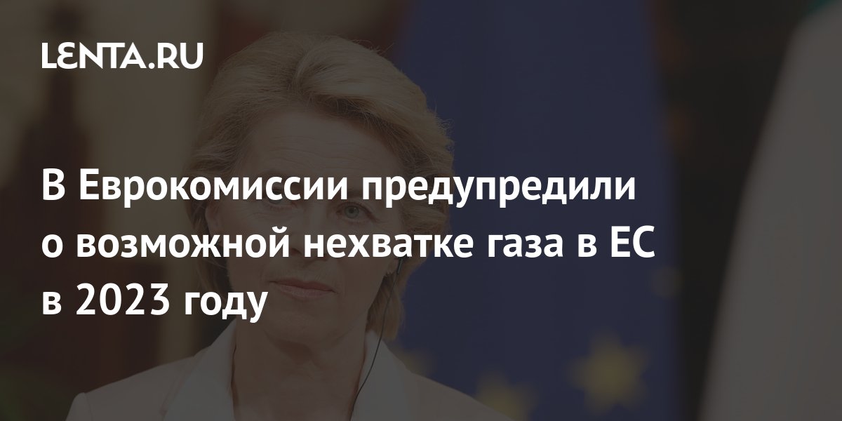 Левину недоставало длинного летнего дня для того чтобы переделать все что нужно