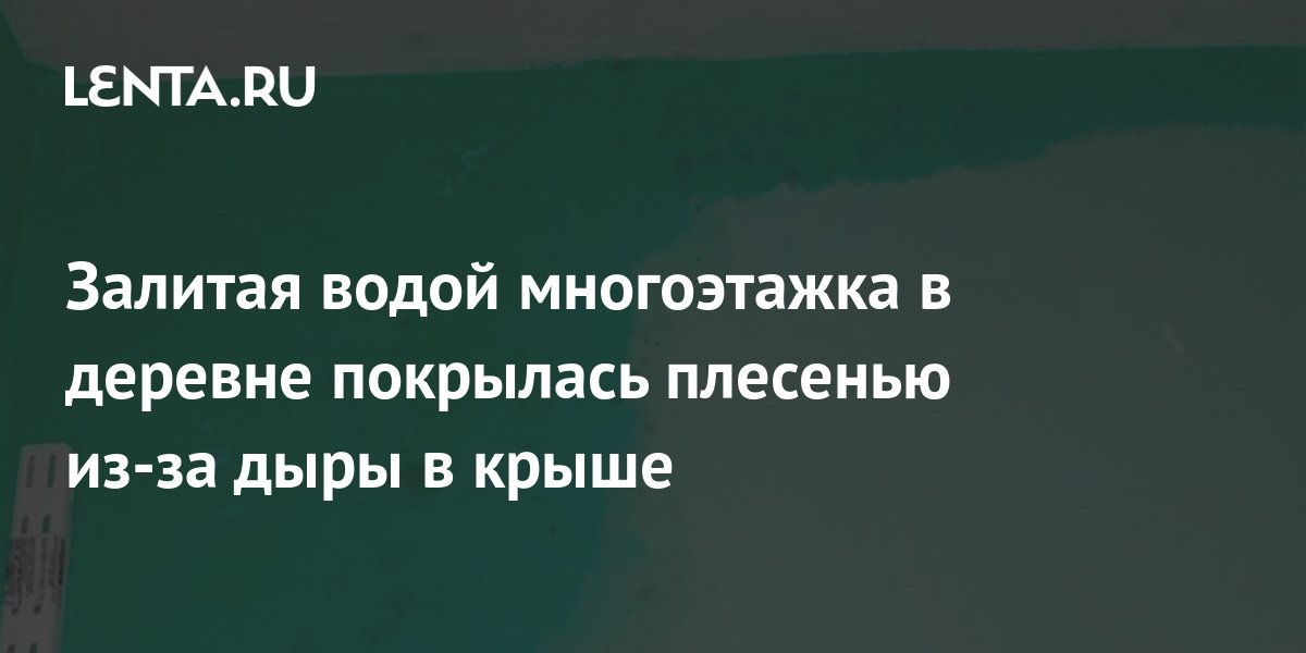 Залитая водой многоэтажка в деревне покрылась плесенью из-за дыры в .