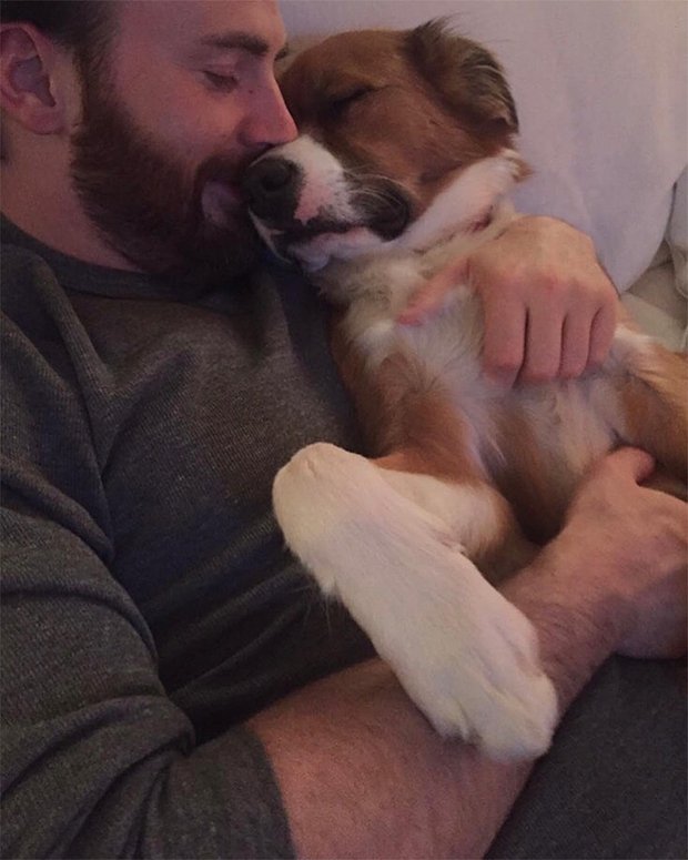 Крис Эванс с любимым псом Доджером