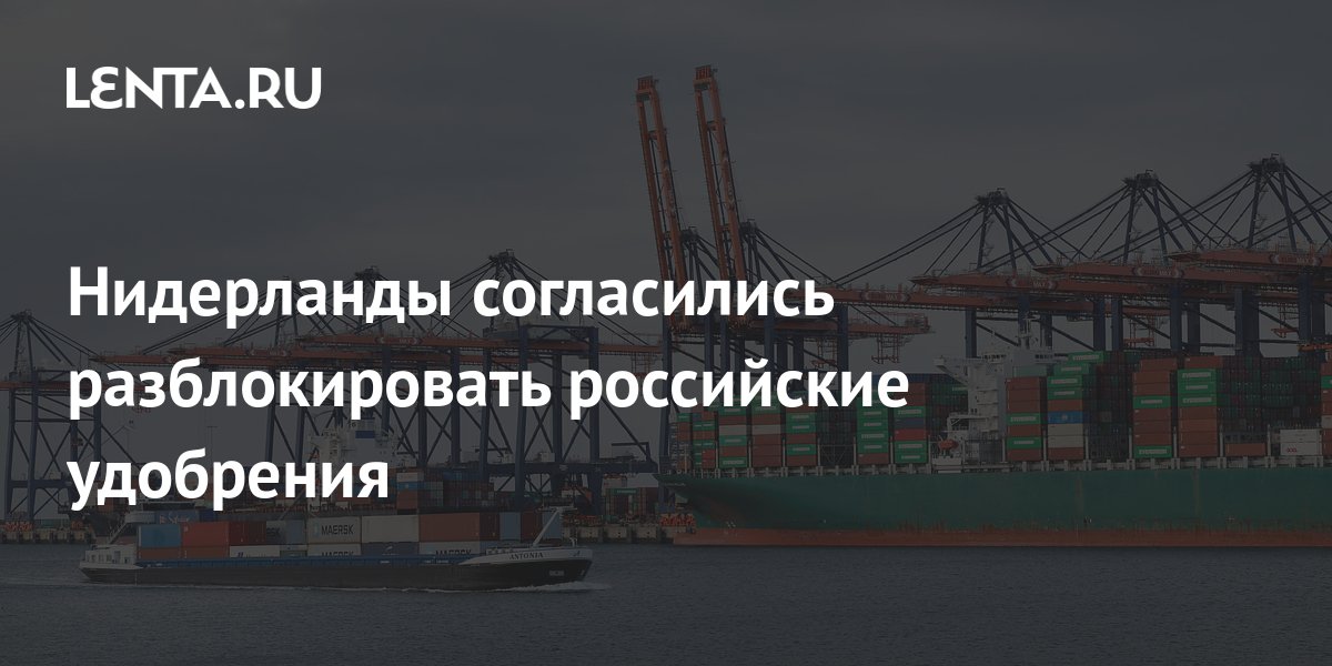 lenta.ru