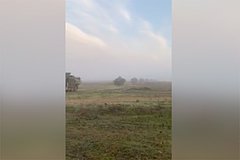 Опубликовано видео передвижения техники НАТО на херсонском направлении