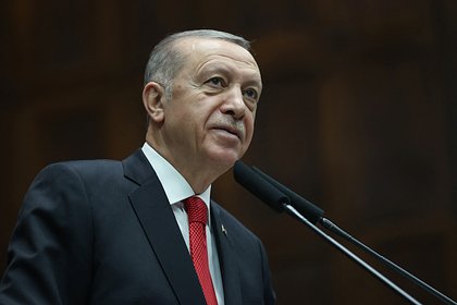 Эрдоган заявил о планах превратить Турцию в международный газовый хаб