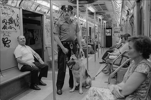 Полицейский с собакой патрулирует метро в Нью-Йорке, 1980-е. Фото: Allan Tannenbaum / Getty Images