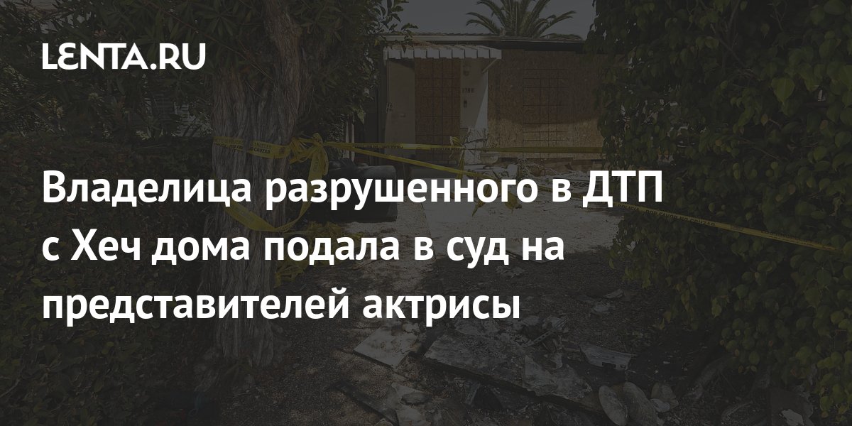 Сова пролетела перед машиной