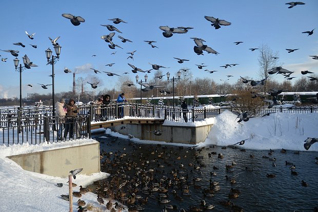 Вводная картинка