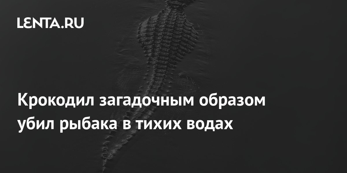 Крокодил загадочным образом убил рыбака в тихих водах: Звери: Из жизни ...