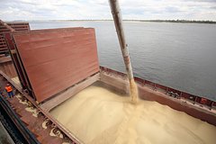 В ФАО прокомментировали предложение России по бесплатному экспорту зерна