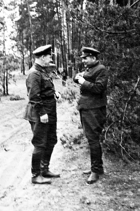 Илларион Ларин и Родион Малиновский, 1941 год