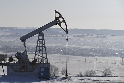 В США раскритиковали инициативу потолка цен на российскую нефть