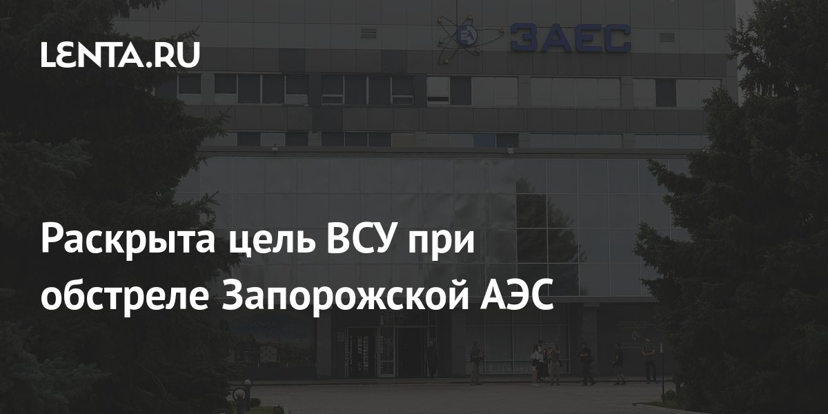 Раскрыта цель ВСУ при обстреле Запорожской АЭС: Политика: Россия: Lenta.ru