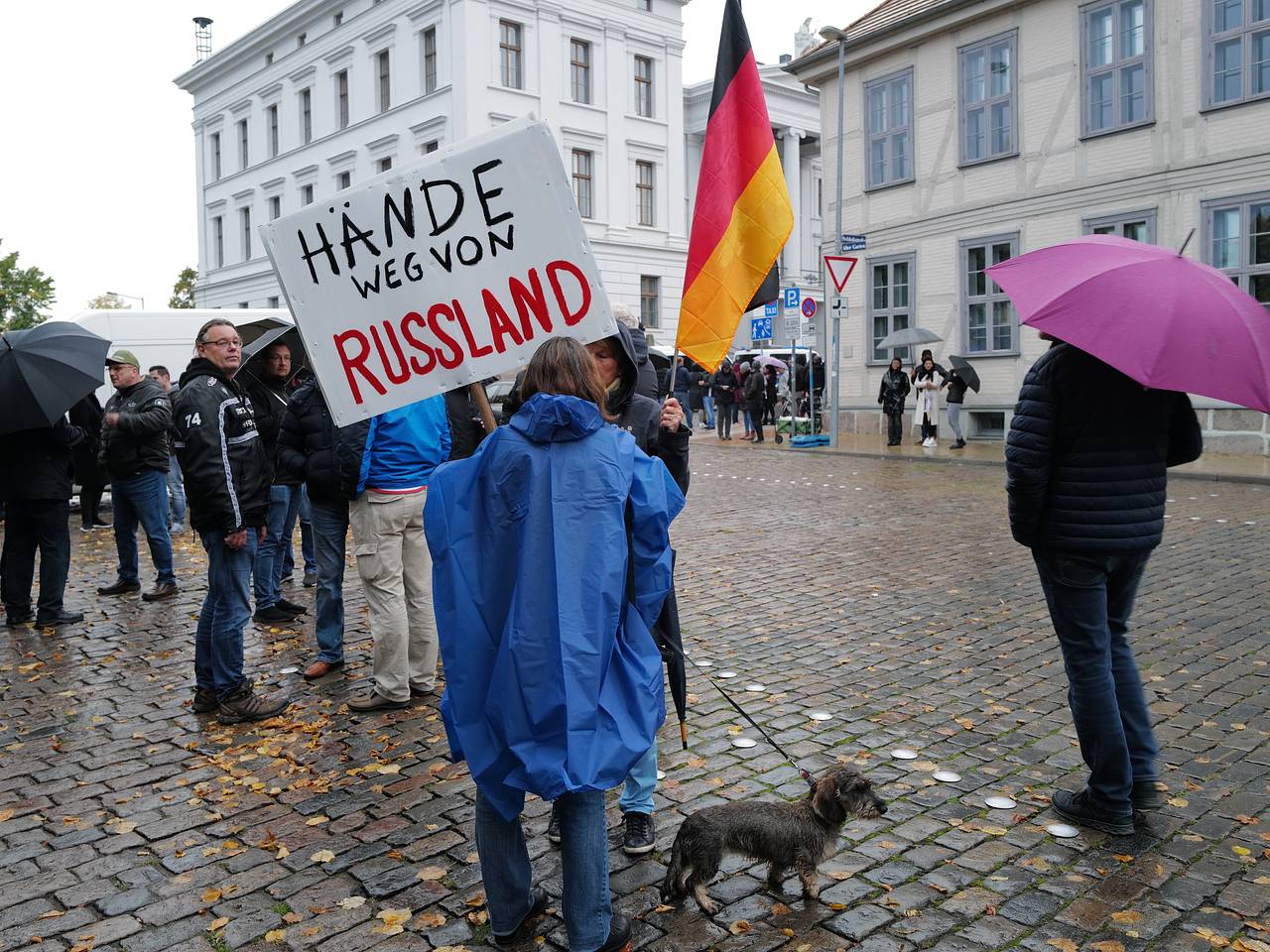 Немцы вышли на митинг с требованием от НАТО изменить подход к Украине:  Общество: Мир: Lenta.ru