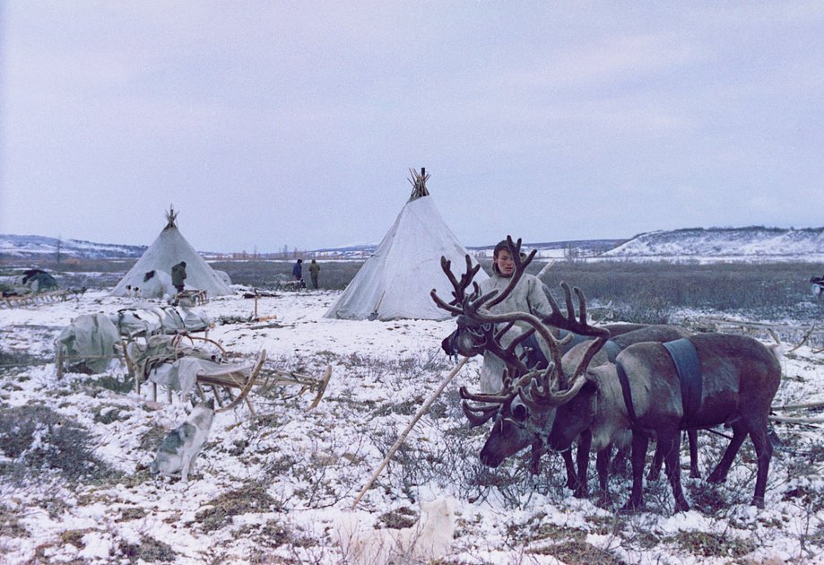 Стойбище оленеводов в Якутии, 1976 год