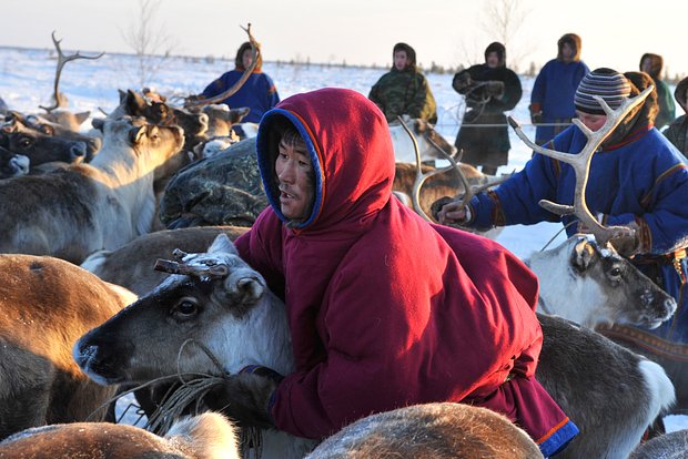 Вводная картинка