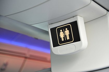Стюардесса показала способ открыть туалет в самолете и восхитила подписчиков