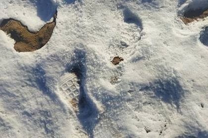 Замерзшая насмерть четырехлетняя россиянка прошла ночью по морозу 1,5 километра