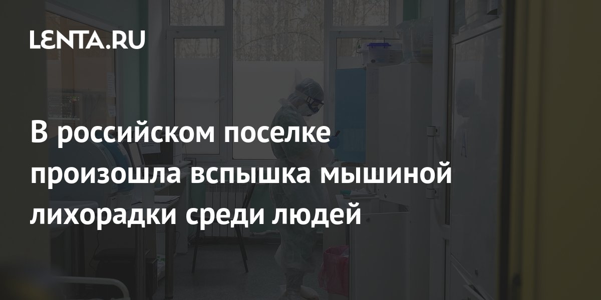 В российском поселке произошла вспышка мышиной лихорадки среди людей ...
