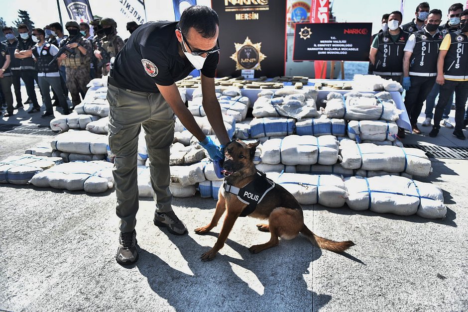 Более полутора тонн марихуаны, изъятой турецкими правоохранителями, демонстрируются прессе в порту Средиземноморского регионального командования береговой охраны в Мерсине. Турция, 18 мая 2021 года