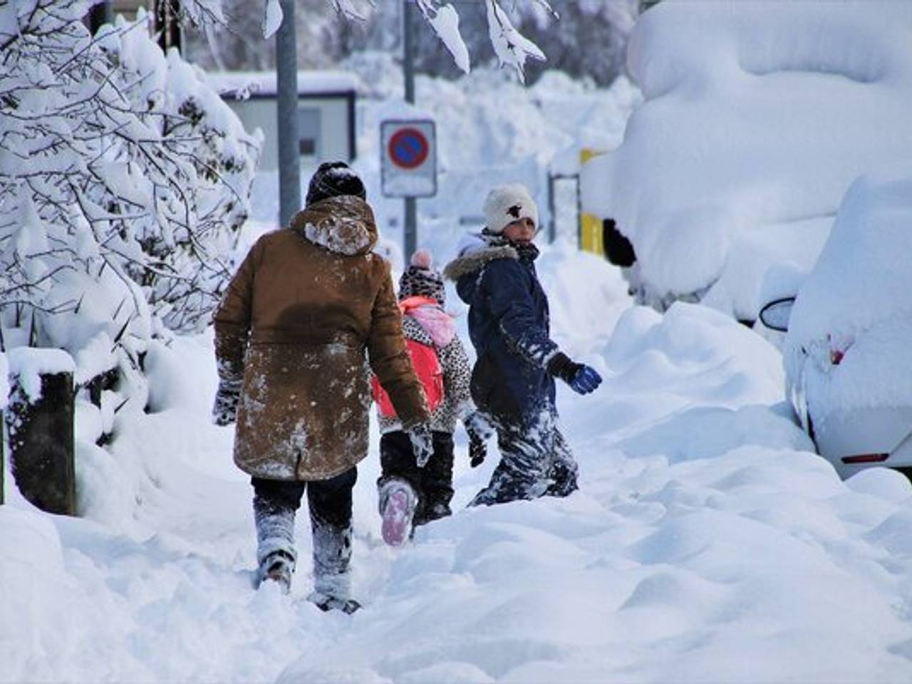 Могут ли высадить из автобуса если карта в стоп листе