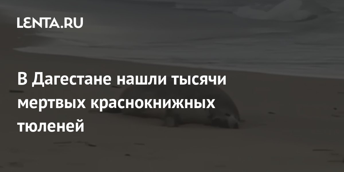 Руководство по гидрологическим исследованиям в прибрежной зоне морей и в устьях рек при инженерных изысканиях